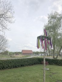 Ostfriesen zeigen ihre Maibäume - Bild 52