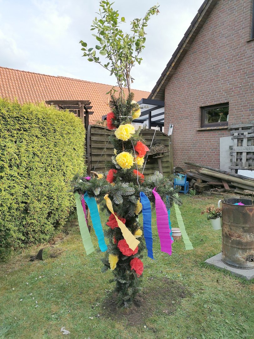 Ostfriesen zeigen ihre Maibäume - Bild 85