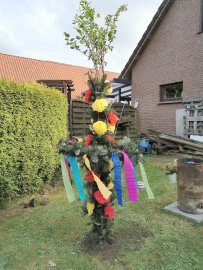 Ostfriesen zeigen ihre Maibäume - Bild 85