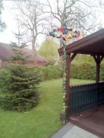 Ostfriesen zeigen ihre Maibäume - Bild 86