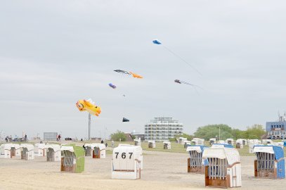 Norddeich: Im Einsatz gegen Krach und Corona - Bild 2