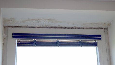 Parkplätze beim Emder Bürgerbüro fallen weg - Bild 2