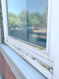 Parkplätze beim Emder Bürgerbüro fallen weg - Bild 3