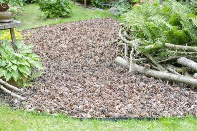 Ausgezeichneter Garten in Emden - Bild 4