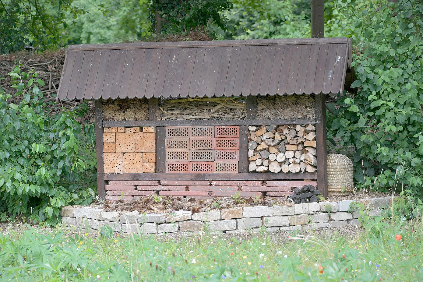 Blumengarten rund um ehemaliges Restaurant - Bild 1