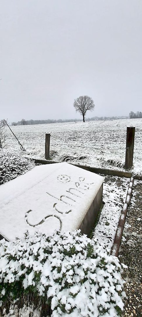 Schnee in Ostfriesland - Bild 3