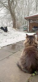 Schnee in Ostfriesland - Bild 8