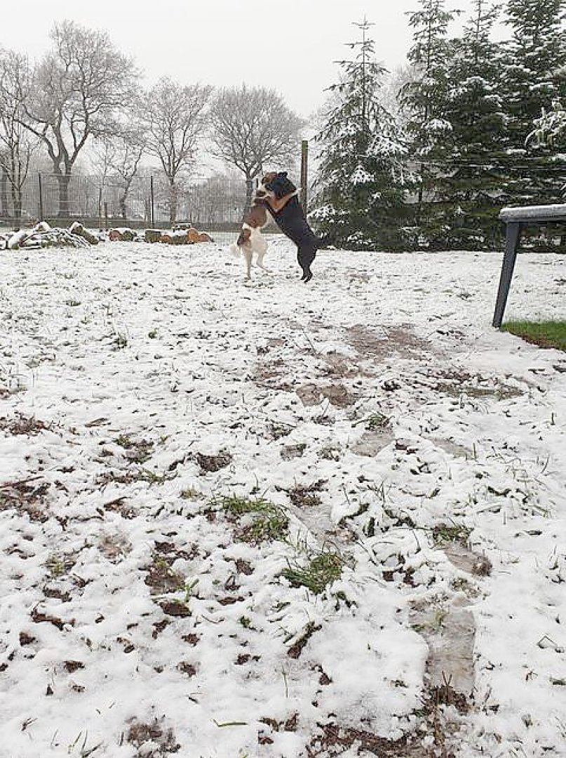 Schnee in Ostfriesland - Bild 9