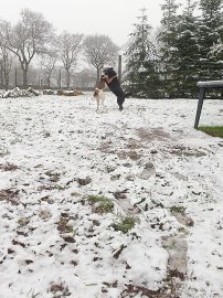 Schnee in Ostfriesland - Bild 9
