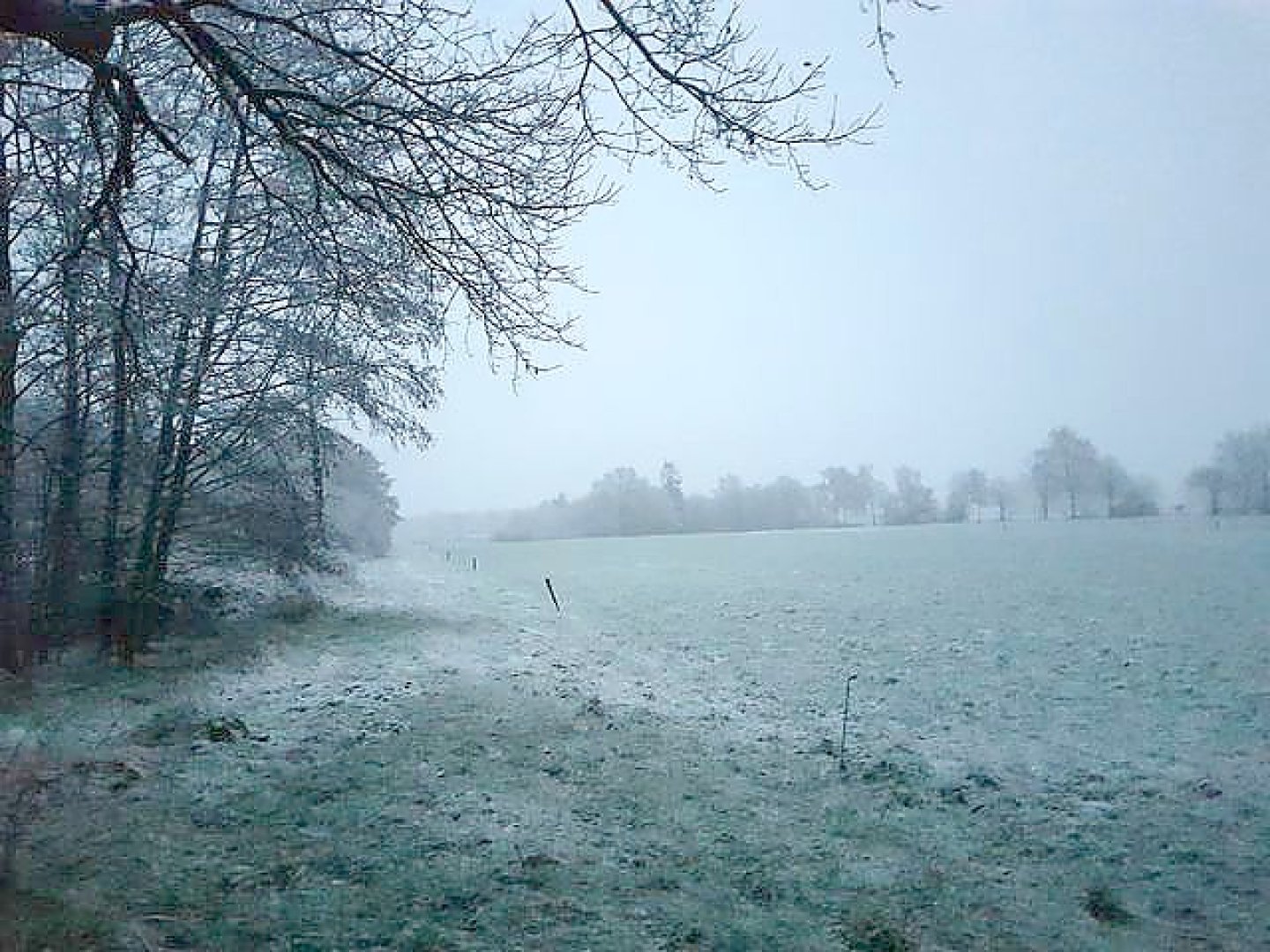 Schnee in Ostfriesland - Bild 12