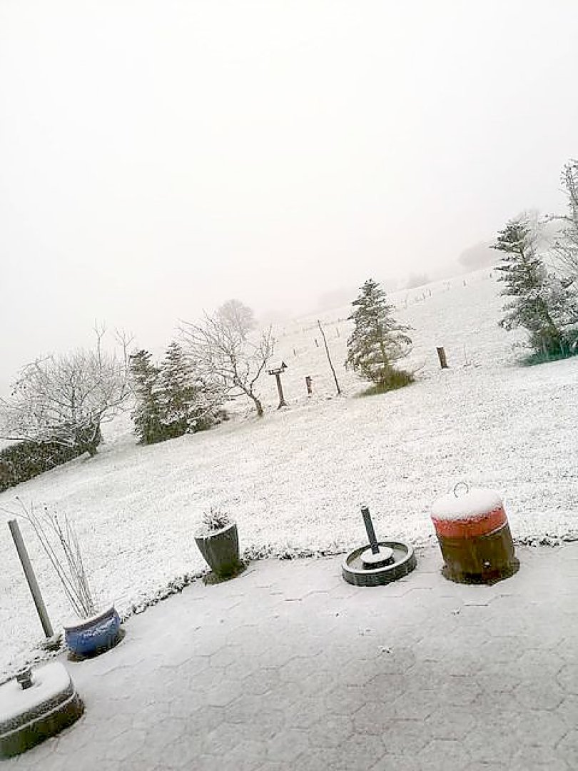 Schnee in Ostfriesland - Bild 15