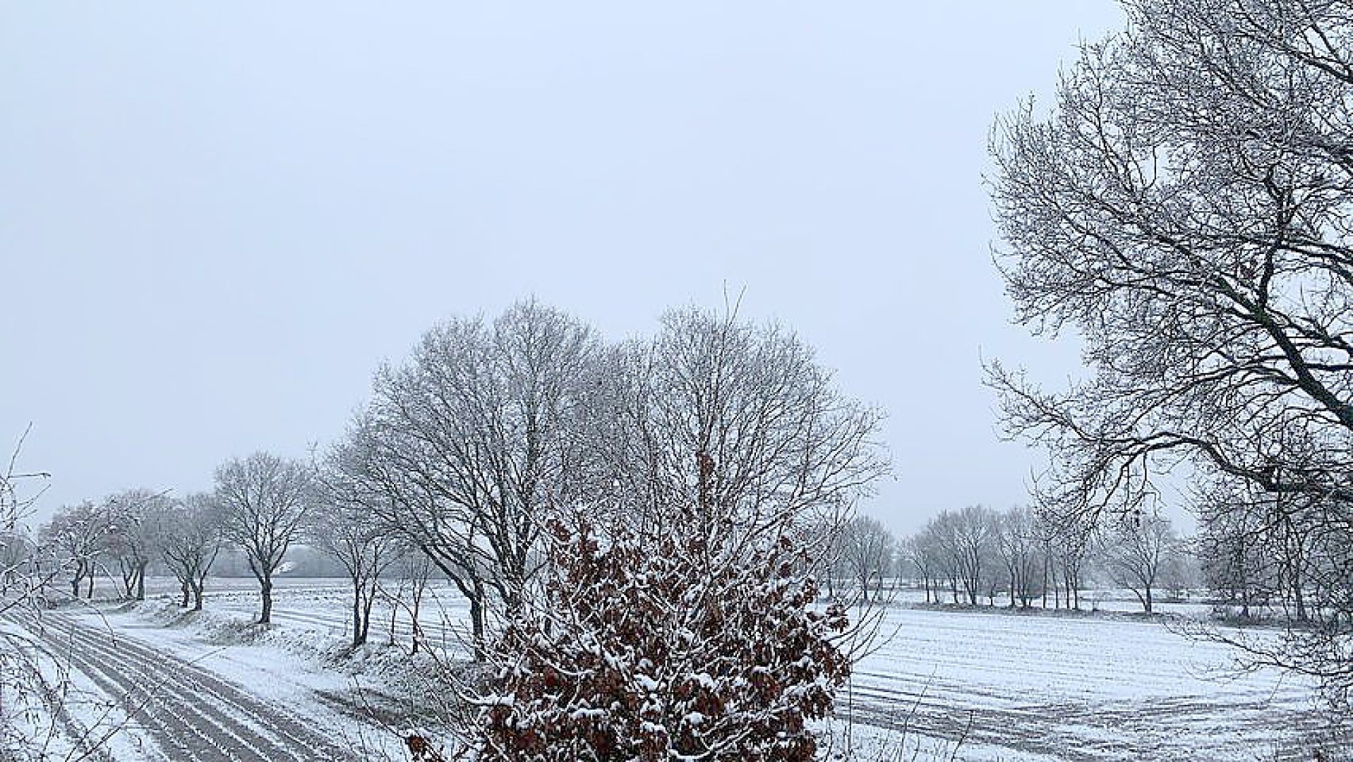 Schnee in Ostfriesland - Bild 16