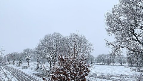 Schnee in Ostfriesland - Bild 16