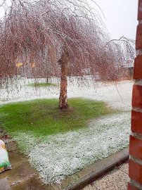 Schnee in Ostfriesland - Bild 23
