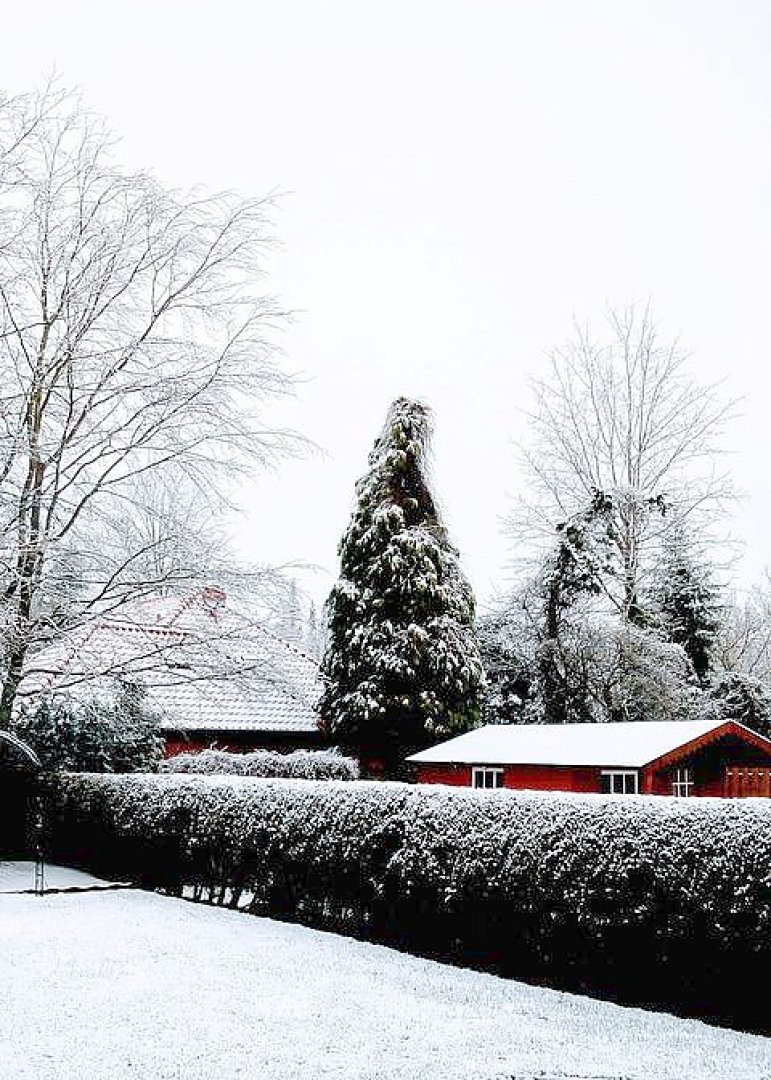 Schnee in Ostfriesland - Bild 24