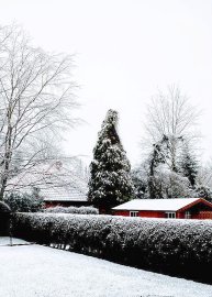 Schnee in Ostfriesland - Bild 24