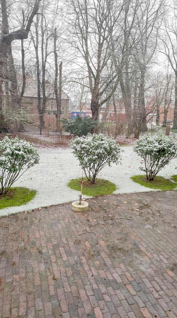 Schnee in Ostfriesland - Bild 26