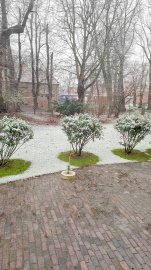 Schnee in Ostfriesland - Bild 26