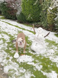 Schnee in Ostfriesland - Bild 29