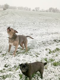 Schnee in Ostfriesland - Bild 34