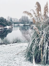 Schnee in Ostfriesland - Bild 35