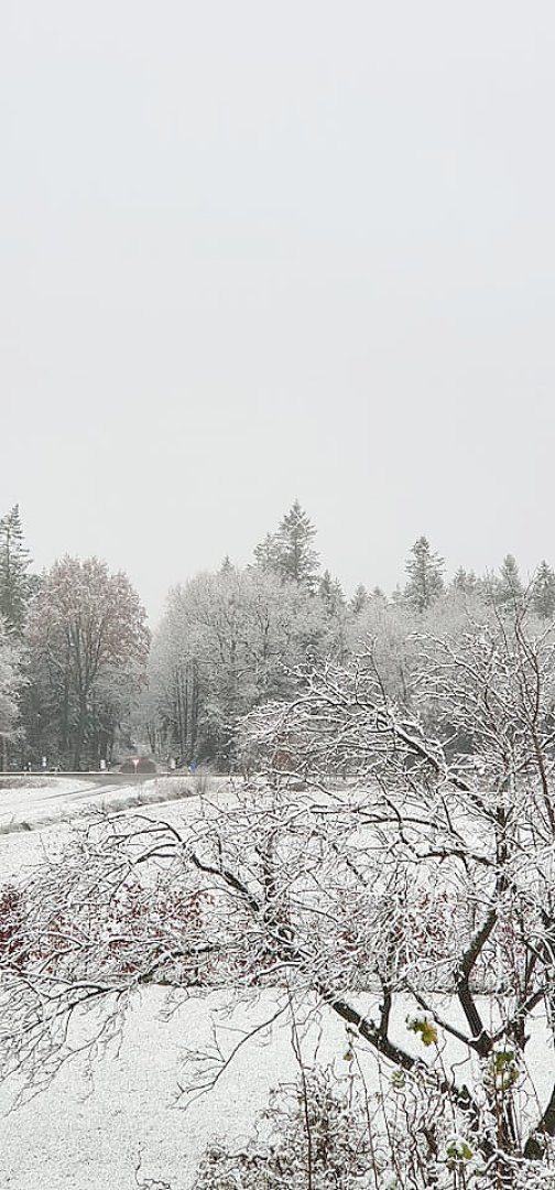 Schnee in Ostfriesland - Bild 44