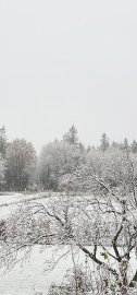 Schnee in Ostfriesland - Bild 44
