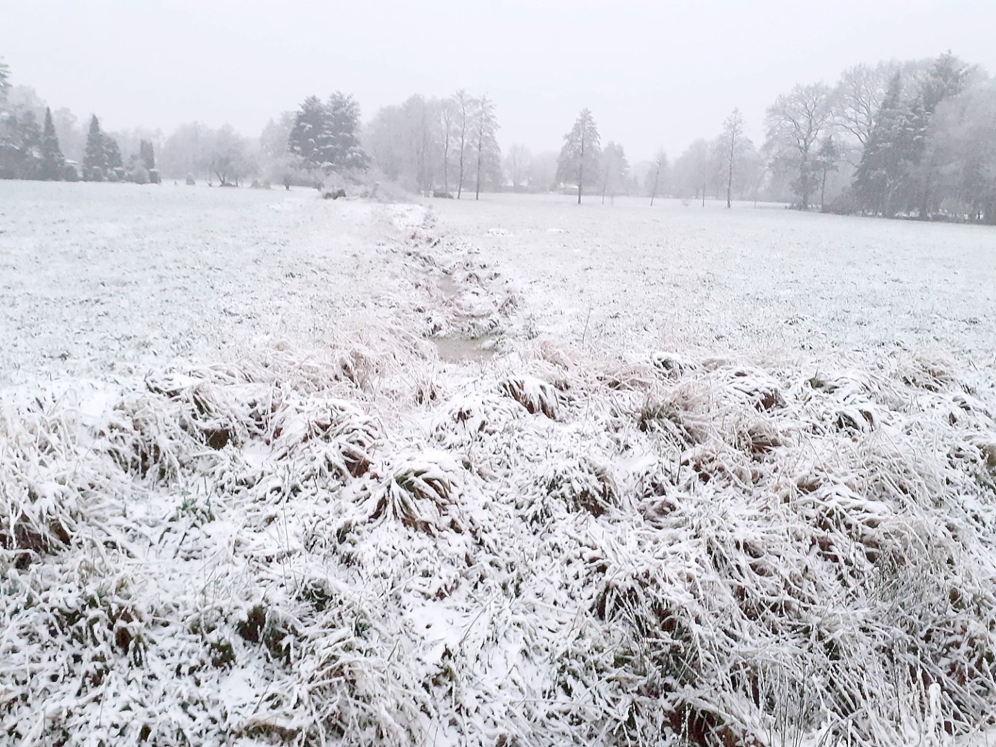 Schnee in Ostfriesland - Bild 46