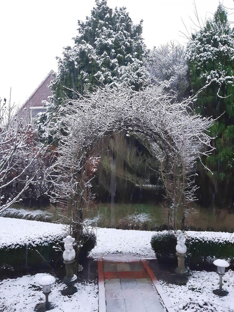 Schnee in Ostfriesland - Bild 47