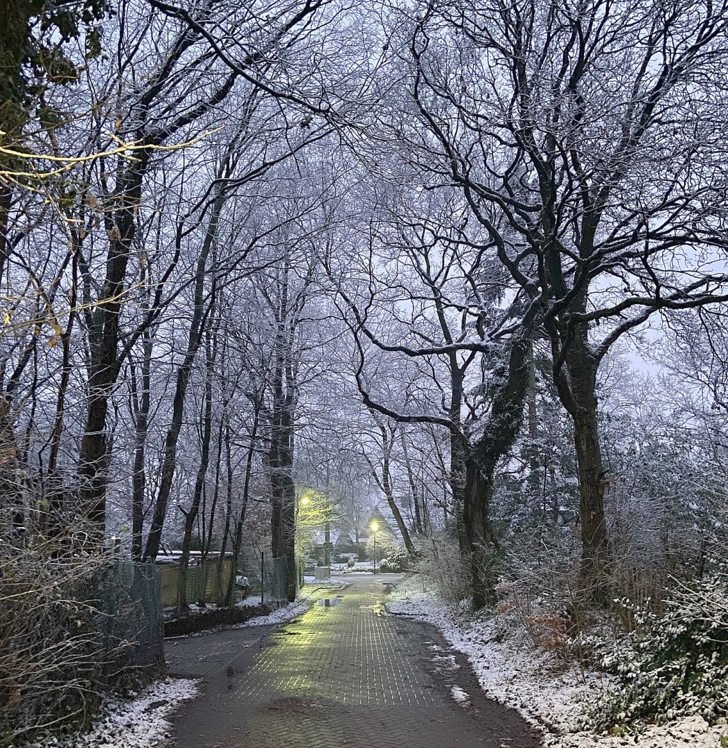 Schnee in Ostfriesland - Bild 48