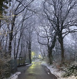Schnee in Ostfriesland - Bild 48