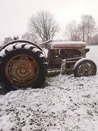 Schnee in Ostfriesland - Bild 58