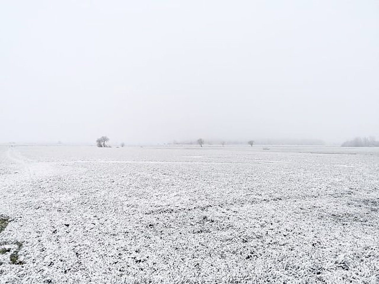Schnee in Ostfriesland - Bild 65