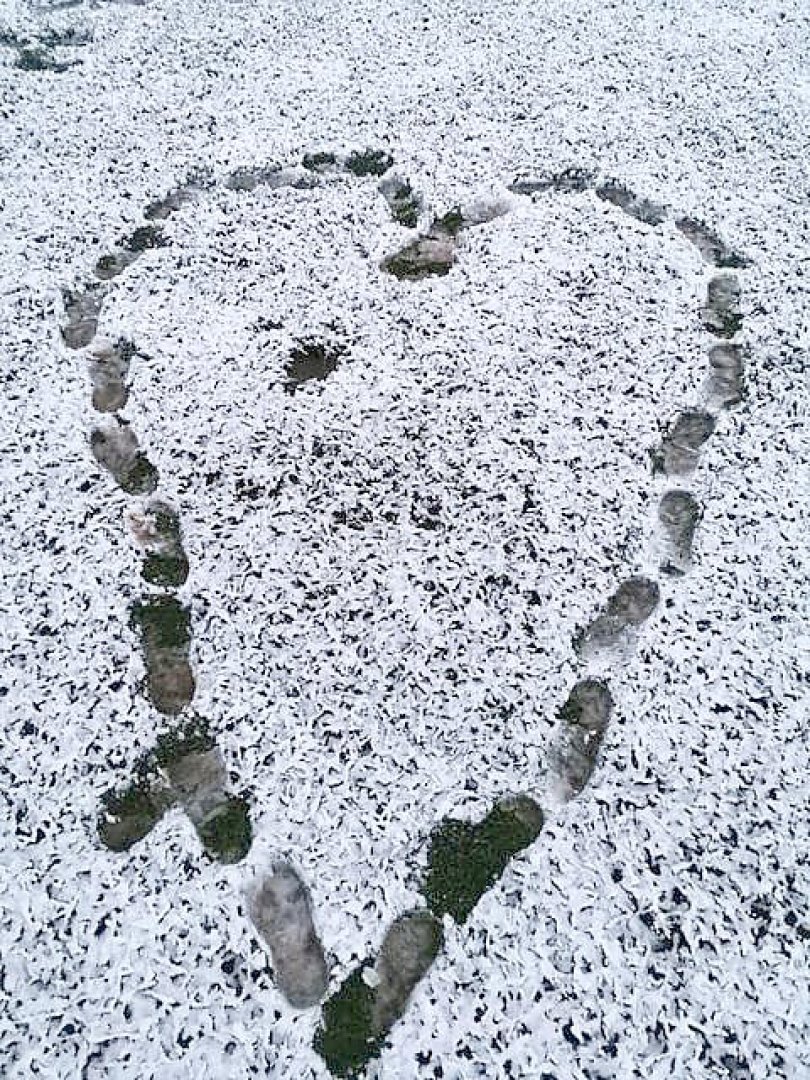 Schnee in Ostfriesland - Bild 66