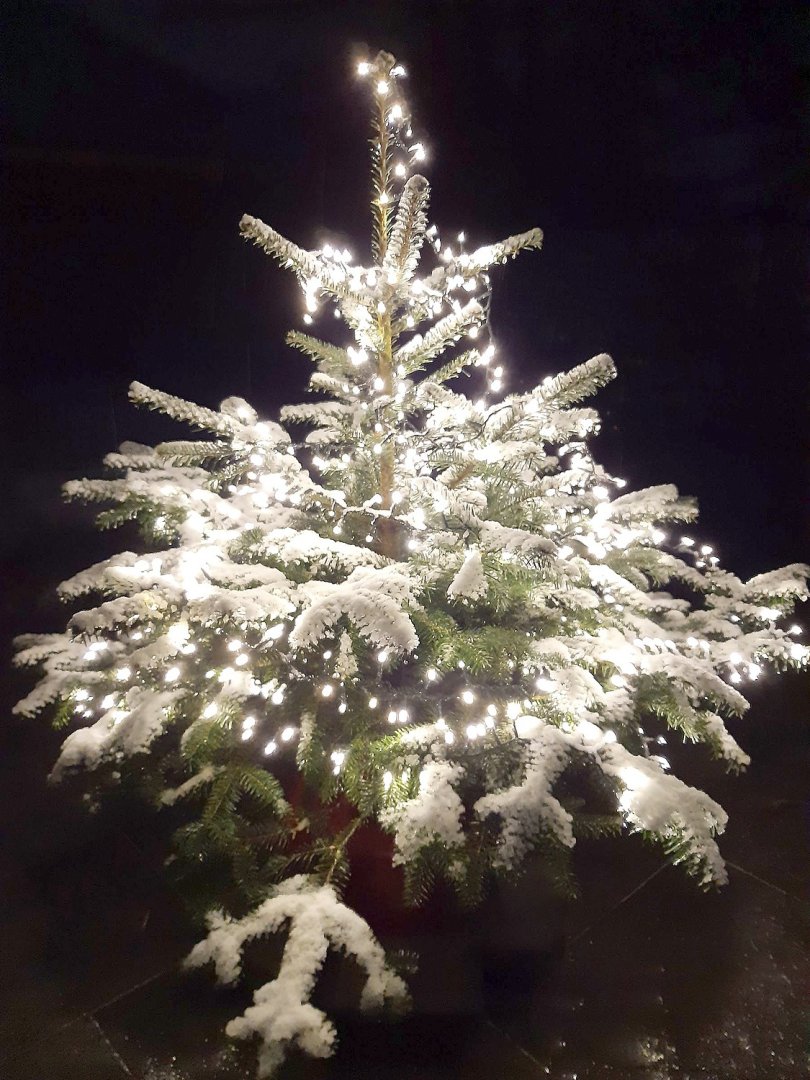 Schnee in Ostfriesland - Bild 69