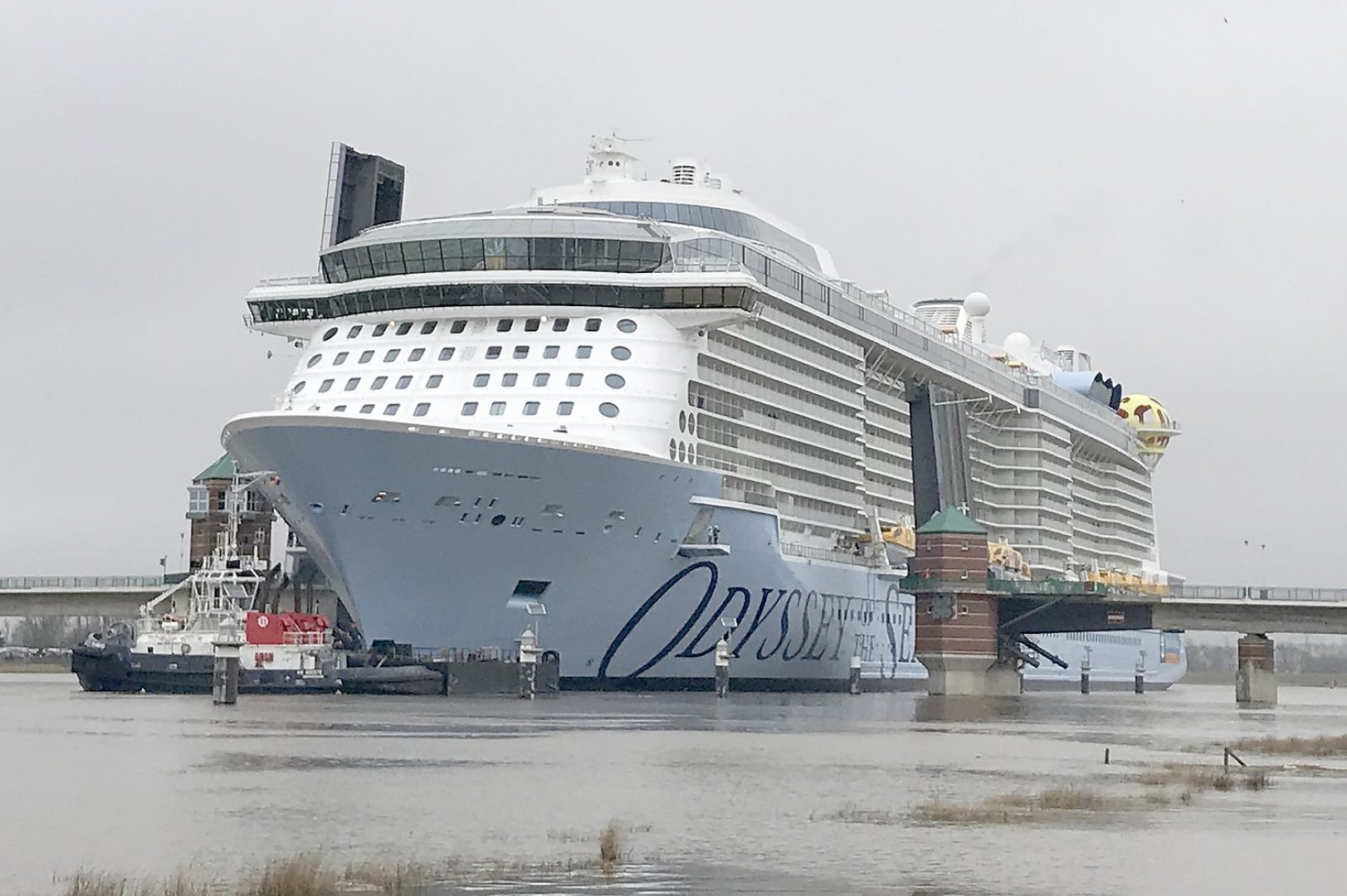 "Odyssey of the Seas" auf dem Weg in die Nordsee - Bild 2