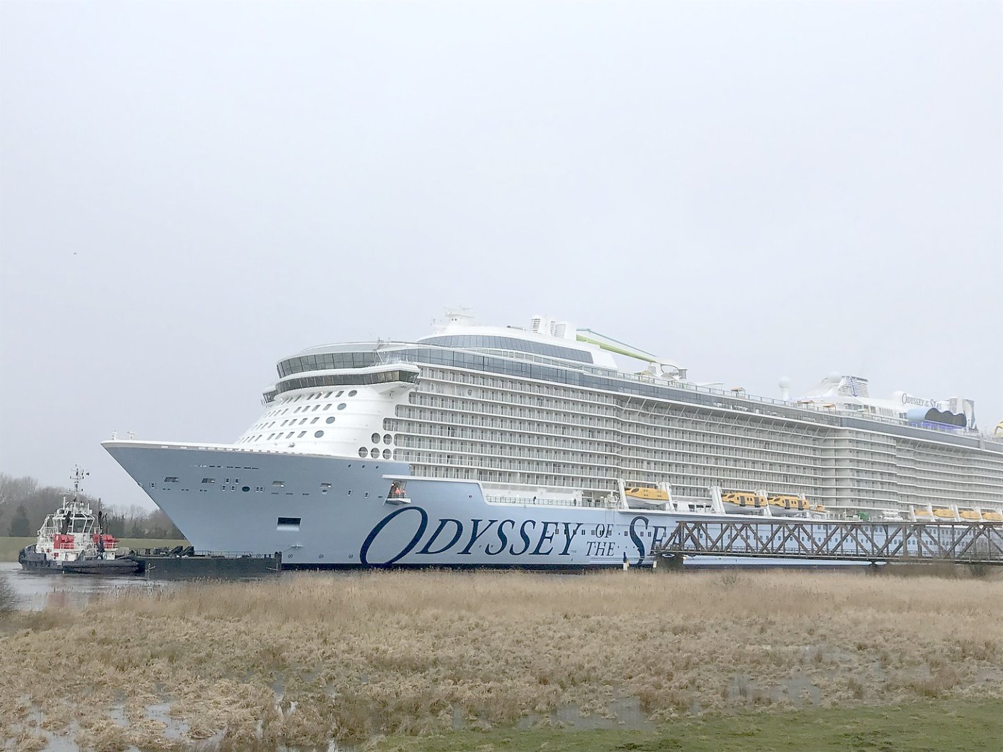 "Odyssey of the Seas" auf dem Weg in die Nordsee - Bild 6