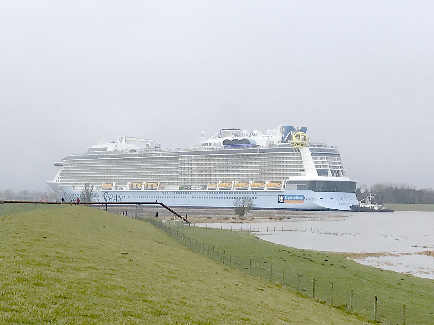 "Odyssey of the Seas" auf dem Weg in die Nordsee - Bild 9