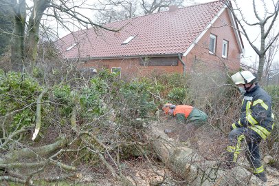 Sturm in Ostfriesland - Bild 3