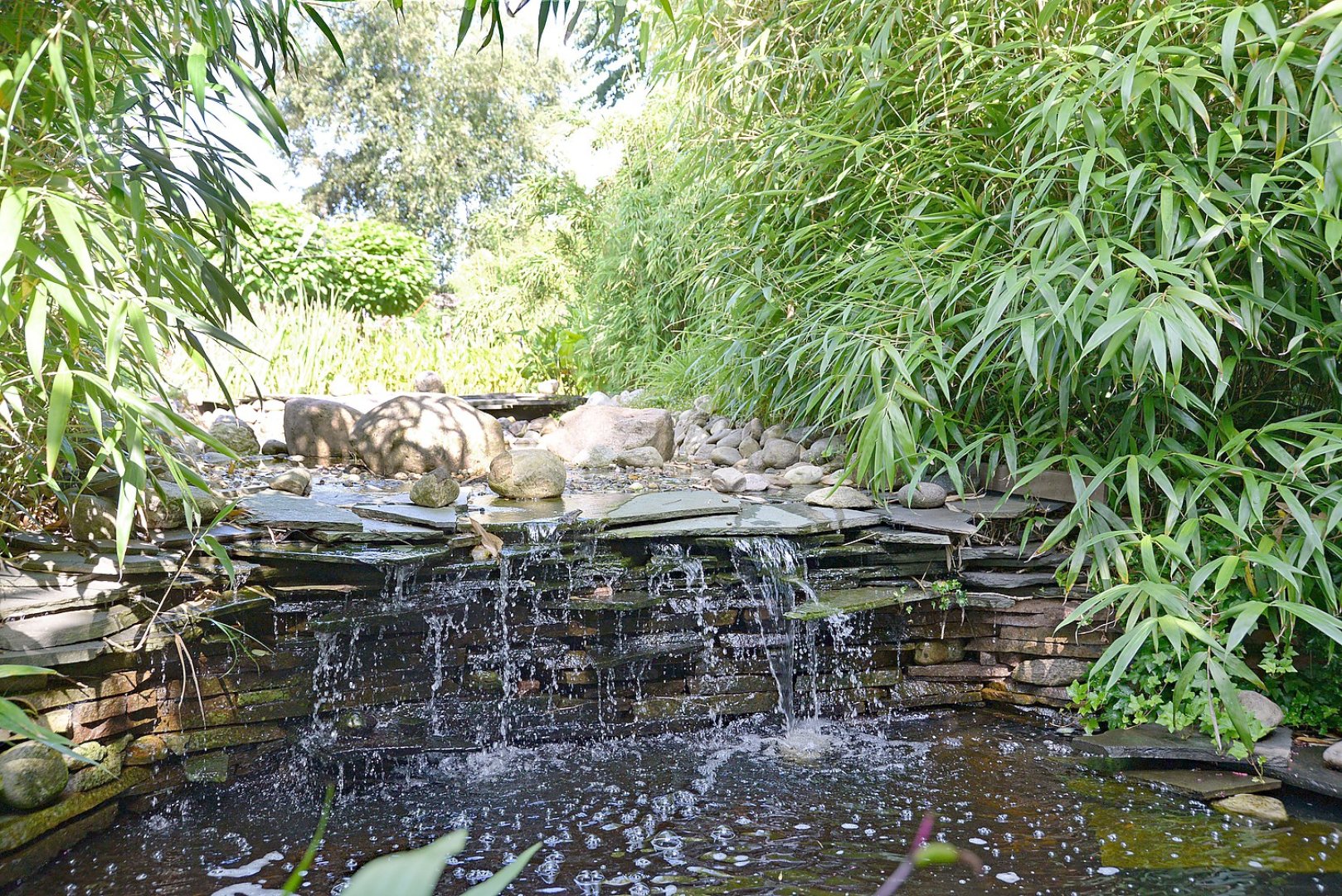 Gartenreich mit Wasser - Bild 1