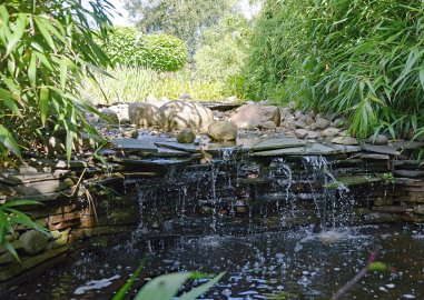 Gartenreich mit Wasser - Bild 2