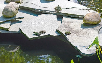 Gartenreich mit Wasser - Bild 4