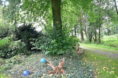 Romantischer Garten mit Parkcharakter - Bild 4
