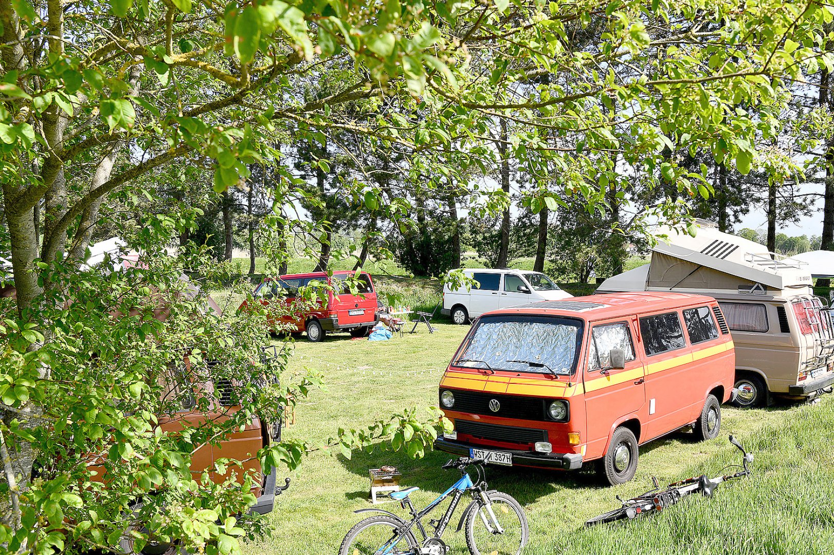 Bulli-Treffen in Stickhausen - Bild 1