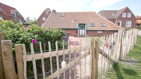 Impressionen der Insel Baltrum - Bild 2