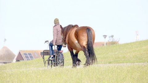 Impressionen der Insel Baltrum - Bild 3