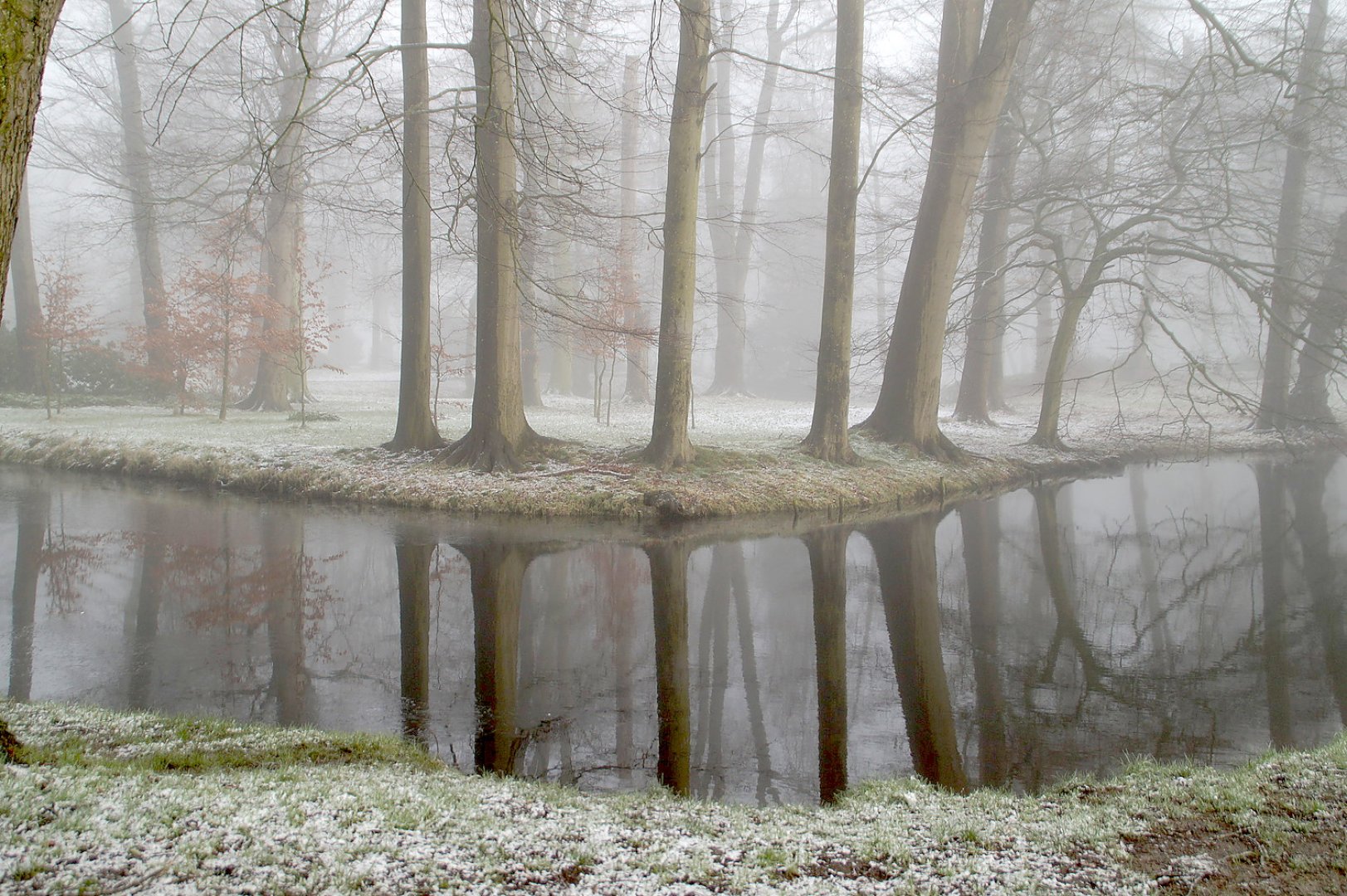Die schönsten Pflanzenfotos aus Ostfriesland - Bild 5