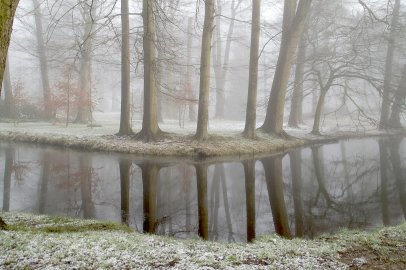 Die schönsten Pflanzenfotos aus Ostfriesland - Bild 5
