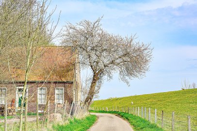 Die schönsten Pflanzenfotos aus Ostfriesland - Bild 28
