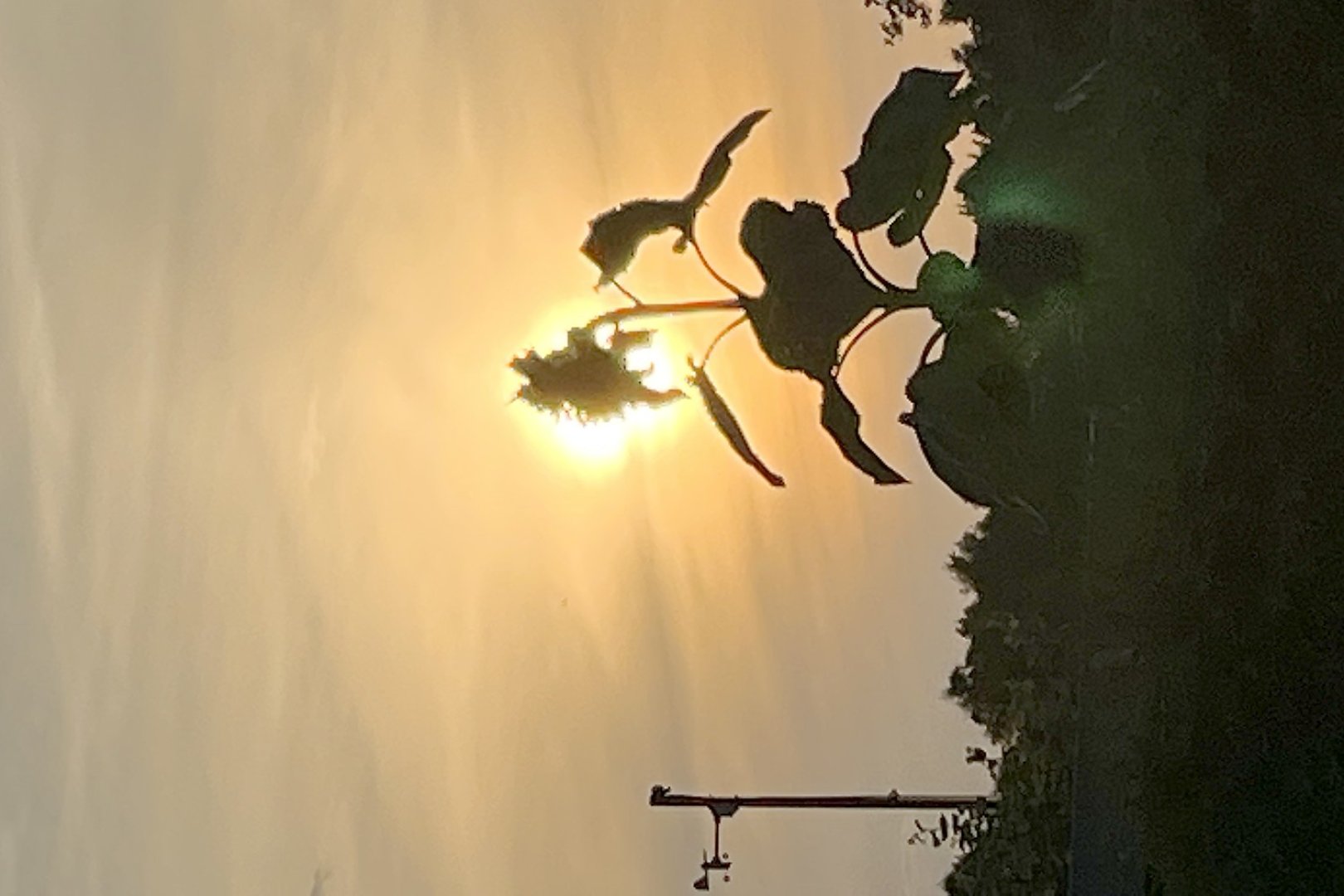 Die schönsten Pflanzenfotos aus Ostfriesland - Bild 47